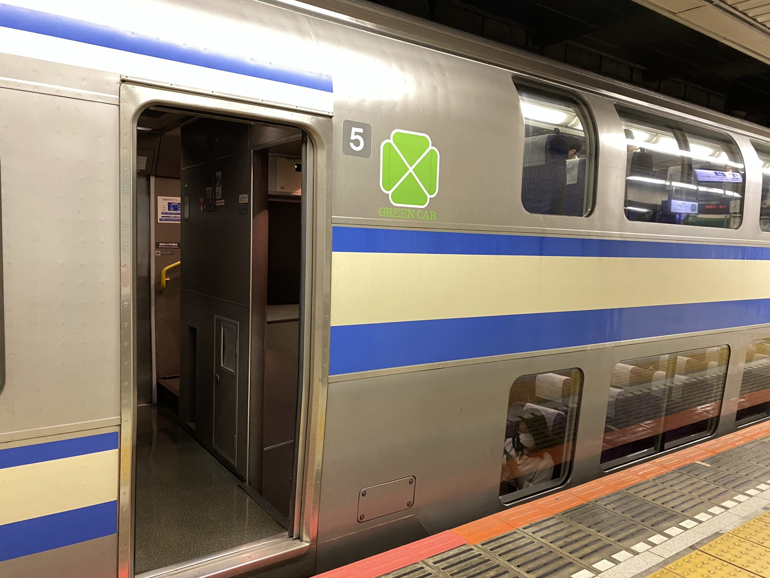 【まもなく引退！】E217系 総武線横須賀線快速グリーン車に乗る cari angin tokyo